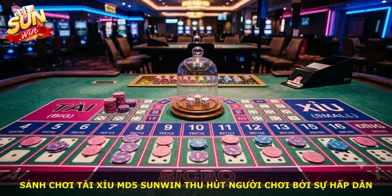 Sảnh chơi tài xỉu MD5 Sunwin thu hút người chơi bởi sự hấp dẫn