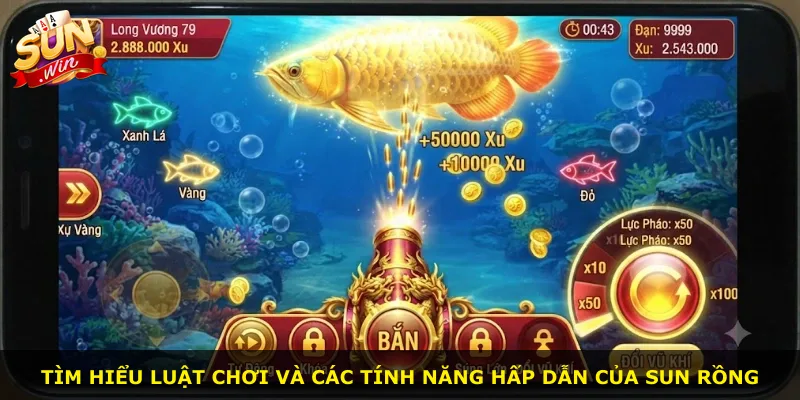 Tìm hiểu luật chơi và các tính năng hấp dẫn của Sun rồng