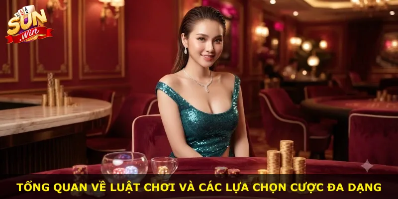 Tổng quan về luật chơi và các lựa chọn cược đa dạng